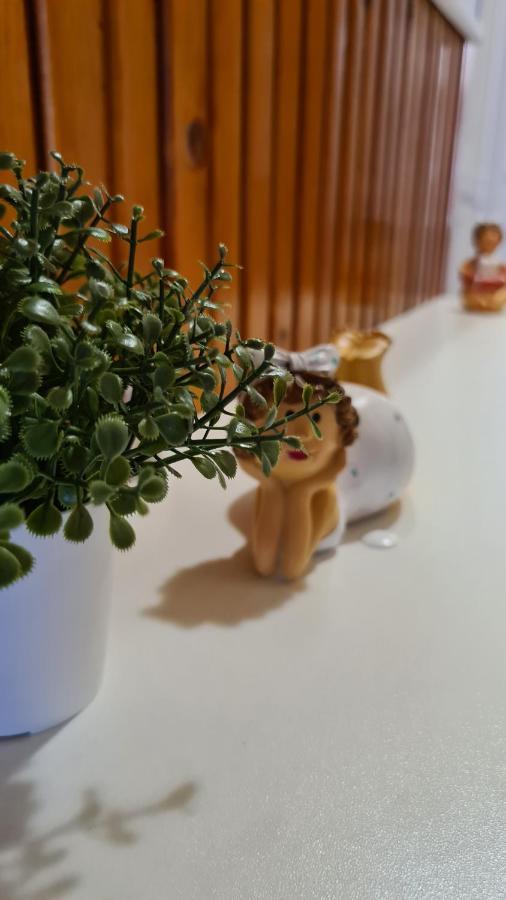 Vitorlas Apartman Sárvár Exteriér fotografie